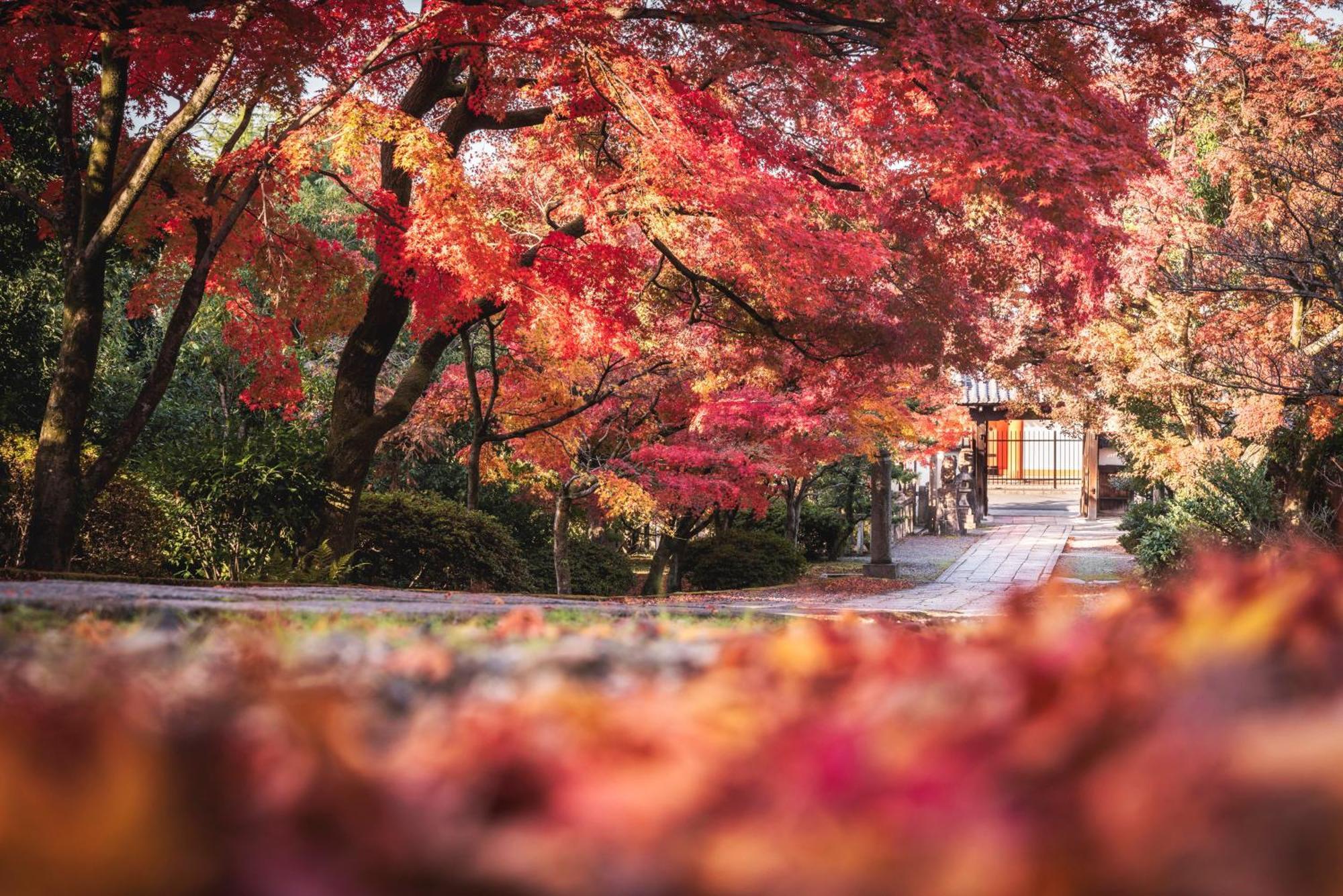 Omo5 Kyoto Gion By Hoshino Resorts Zewnętrze zdjęcie